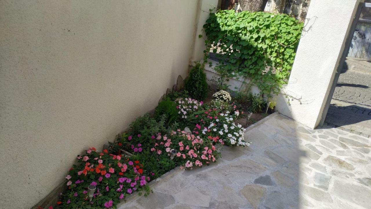 Miroom In The Heart Of Plovdiv Exterior photo